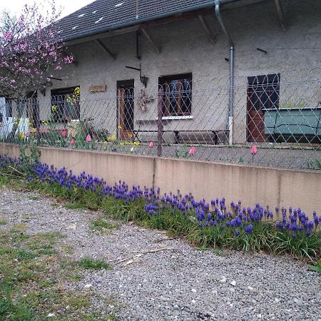 Chez Domi Syl Gite Nature Daire Colonne Dış mekan fotoğraf