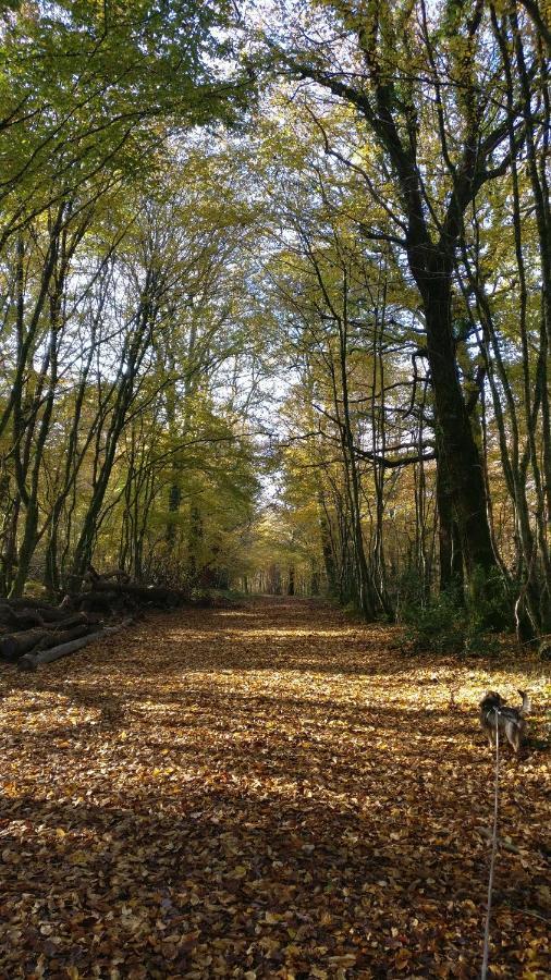 Chez Domi Syl Gite Nature Daire Colonne Dış mekan fotoğraf