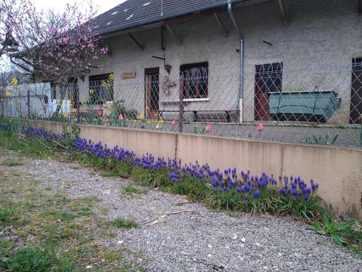 Chez Domi Syl Gite Nature Daire Colonne Dış mekan fotoğraf